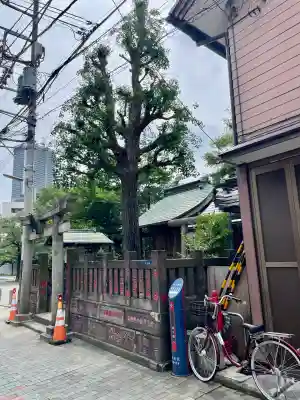 於咲稲荷神社・波除(浪除)稲荷神社(東京都)