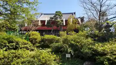 清水観音堂(東京都)