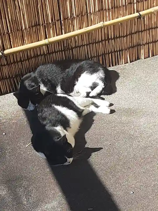 白金氷川神社(東京都)