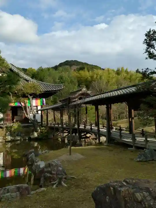 高台寺(高台寿聖禅寺・高臺寺)の{uncategorized: "未分類", other: "その他", undefined: "問題あり", building: "その他建物", grave: "お墓", sacred_gate: "鳥居", guardian: "狛犬", statue: "像", buddha: "仏像", history: "歴史", nature: "自然", garden: "庭園", animal: "動物", pagoda: "塔", temizu: "手水舎", mountain_gate: "山門・神門", sanctuary: "本殿・本堂", subordinate: "末社・摂社", art: "芸術", scenery: "景色", jizo: "地蔵", ema: "絵馬", goshuin: "御朱印", omikuji: "おみくじ", items: "授与品その他", amulet: "お守り", goshuincho: "御朱印帳", eats: "食事", festival: "お祭り", votive_dance: "神楽", shichigosan: "七五三参", wedding: "結婚式", experience: "体験その他", initially: "初詣", around: "周辺", anti_infection: "感染症対策"}