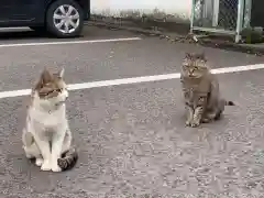 唐澤山神社の動物