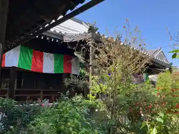 妙慶寺(大阪府)
