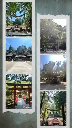 大神神社(奈良県)