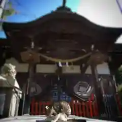 中津瀬神社の動物