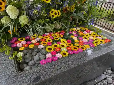 金蛇水神社の手水舎