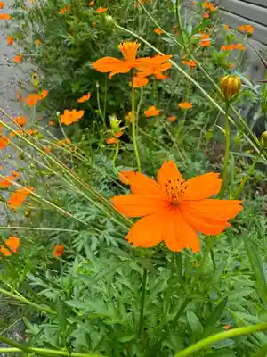 今泉八坂神社(栃木県)