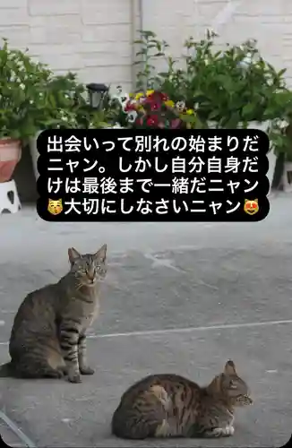 専念寺(大阪府)