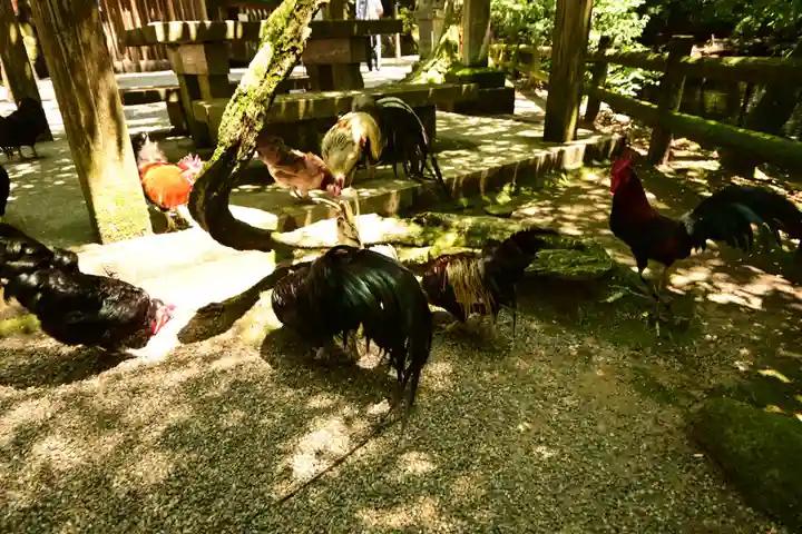 石上神宮(奈良県)