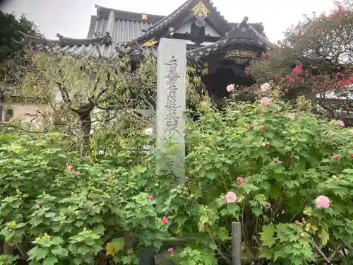 妙隆寺(神奈川県)