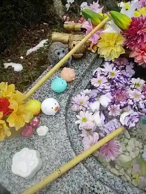 陽林寺の手水舎