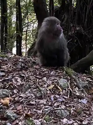 木魂神社(鹿児島県)