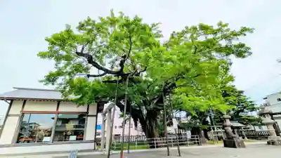 豊受神社の自然