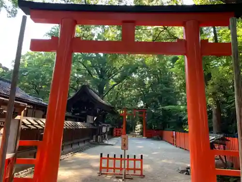 河合神社（鴨川合坐小社宅神社）の鳥居