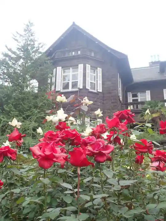 駒込妙義神社(東京都)