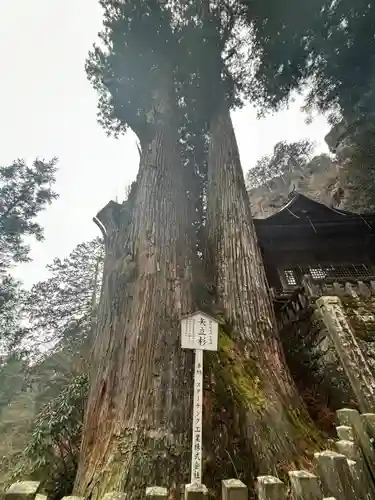 榛名神社(群馬県)