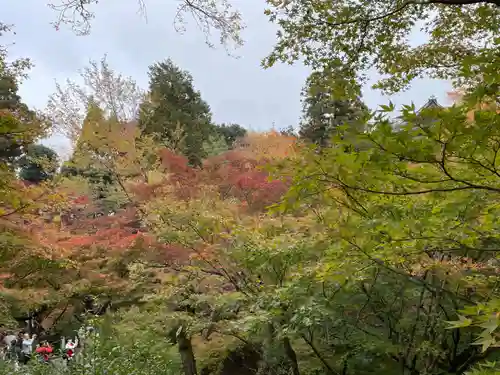 東福禅寺（東福寺）(京都府)