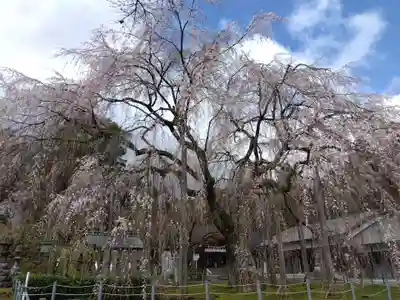 足羽神社(福井県)