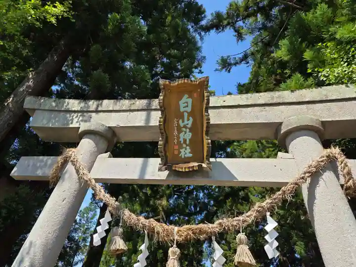 一本杉白山神社(岐阜県)