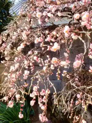 松應寺(東京都)