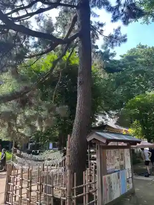 石神井氷川神社(東京都)
