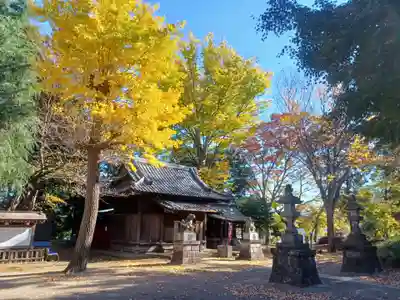 仙波氷川神社の自然