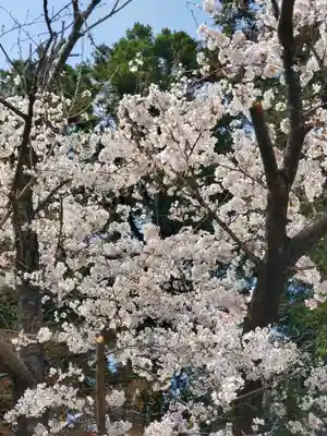 東日尊神社の自然