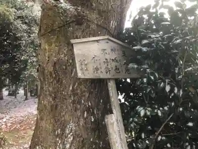 弓削神社の自然