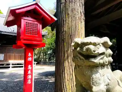赤八幡社の狛犬
