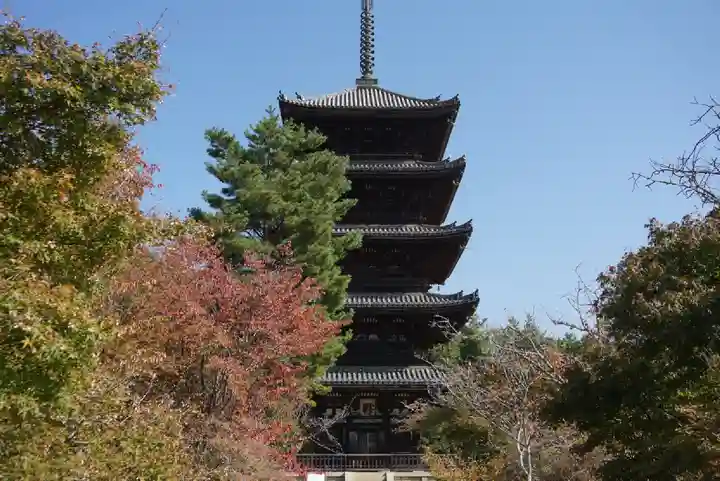 仁和寺(京都府)