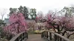 北野天満宮の庭園