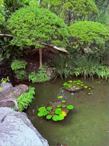 報国寺(神奈川県)