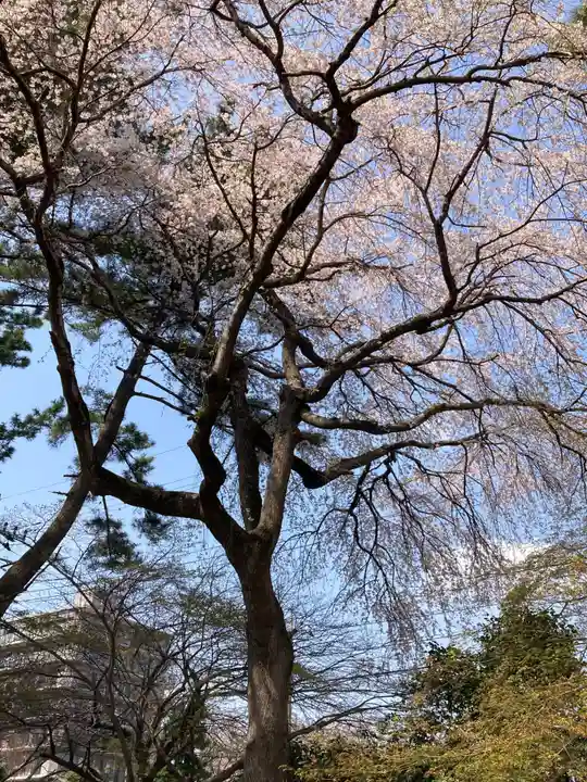 東漸寺(千葉県)