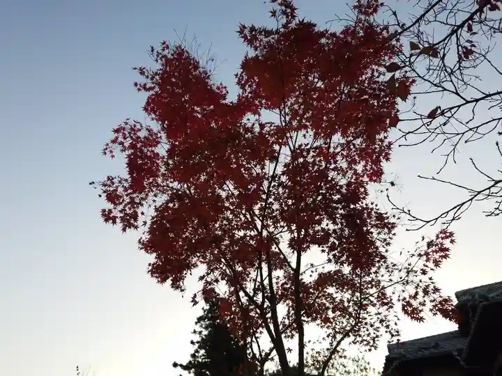 厳島神社(広島県)