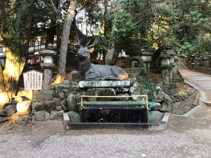 春日大社の手水舎