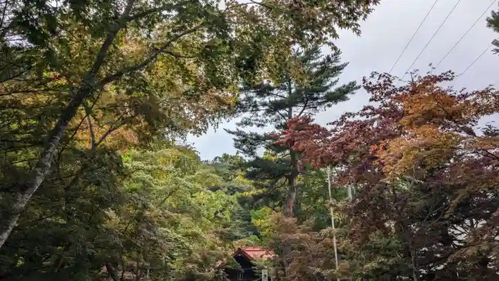 遠軽神社の自然