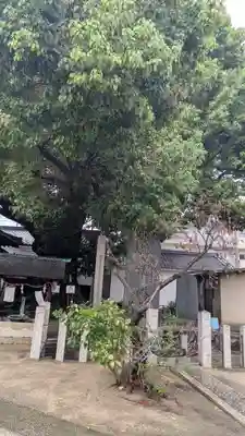 大念佛寺(大阪府)