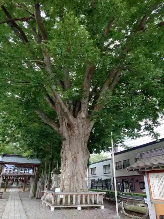 住吉神社(岩手県)