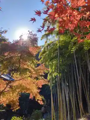 長壽寺（長寿寺）(神奈川県)