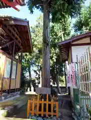 駒形神社(群馬県)