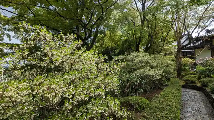 華厳寺(鈴虫寺)(京都府)