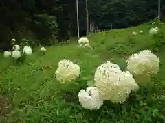  大岩山 最勝寺の周辺