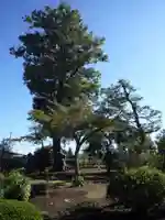 慈光寺(弓田ポックリ不動尊)の自然