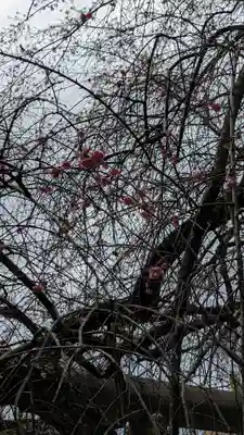 大豊神社(京都府)