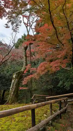 霊鑑寺門跡(京都府)