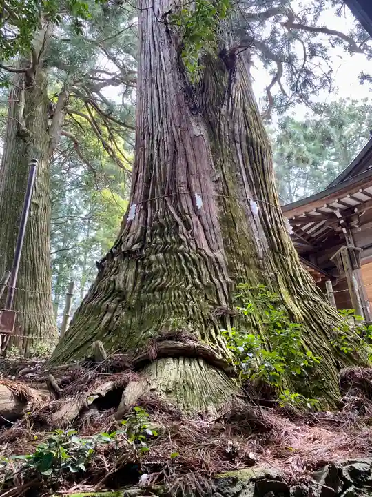 鷲子山上神社(栃木県)