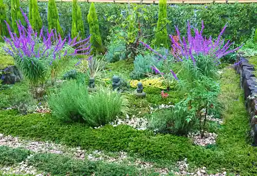 寿量山　速成寺の自然