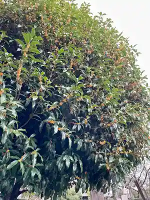 佛心寺(東京都)