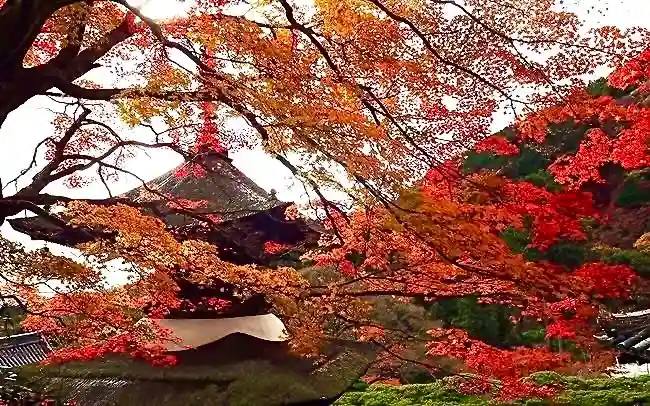 善峯寺(京都府)