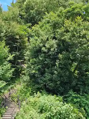 富士見稲荷神社(埼玉県)