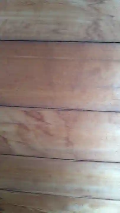 宝泉院(京都府)